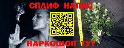 прущая мука Будённовск