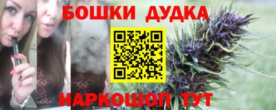 твердый Новодвинск