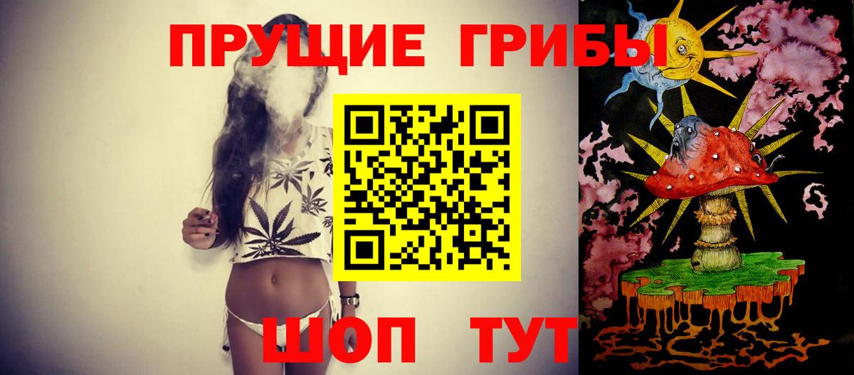 Псилоцибиновые грибы мицелий  Псилоцибиновые грибы Psilocybine cubensis  Ртищево  Вход с VPN 