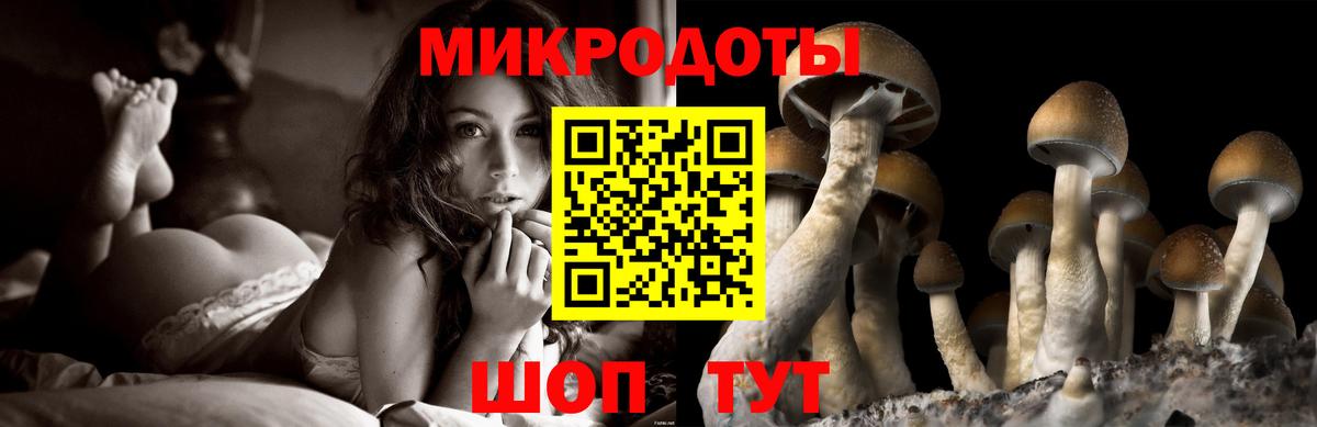 Галлюциногенные грибы Magic Shrooms Ртищево